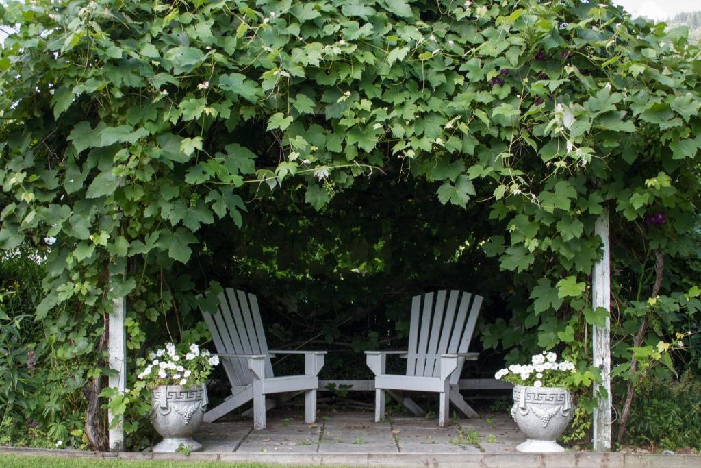 Genelle House B&B Guest House Екстериор снимка